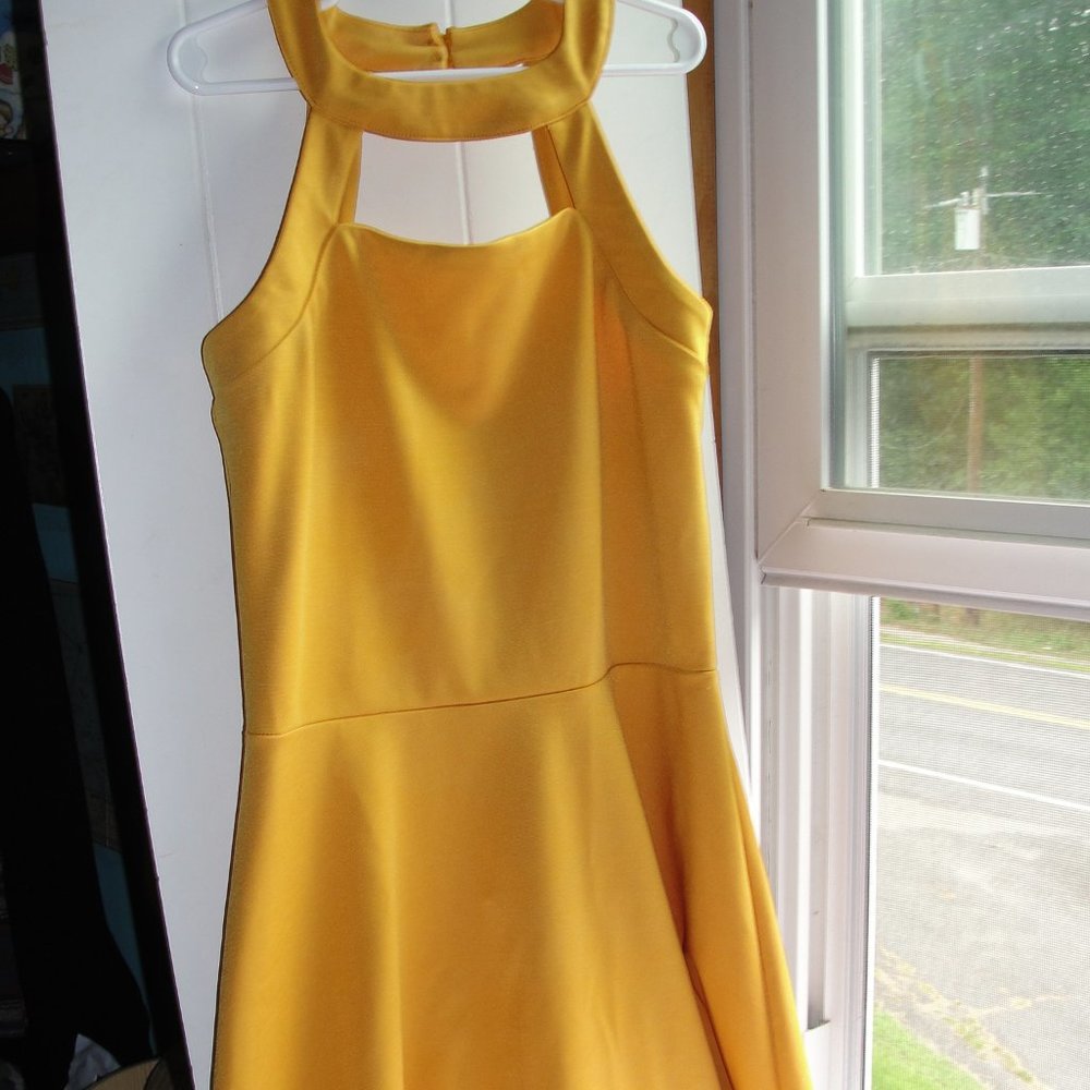 Pumpkin Spice Miss Behave Dress